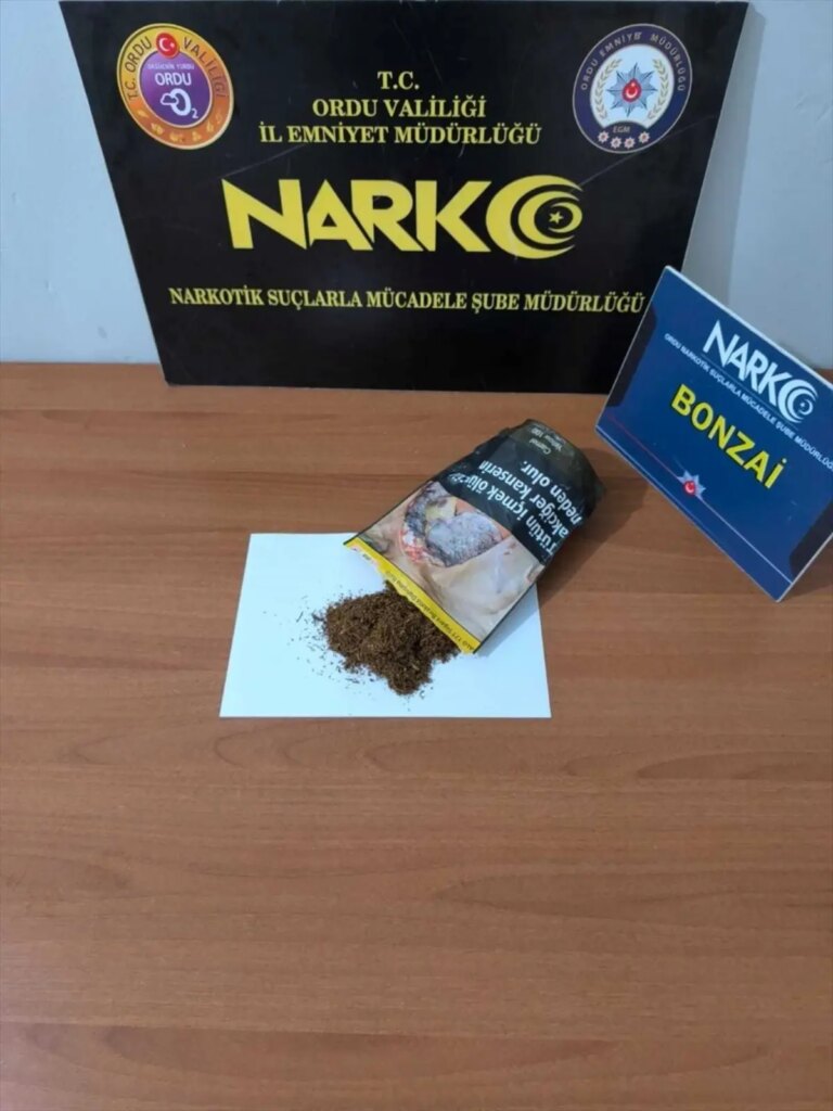 orduda uyusturucu operasyonu 2 tutuklama 4mwwyCWX