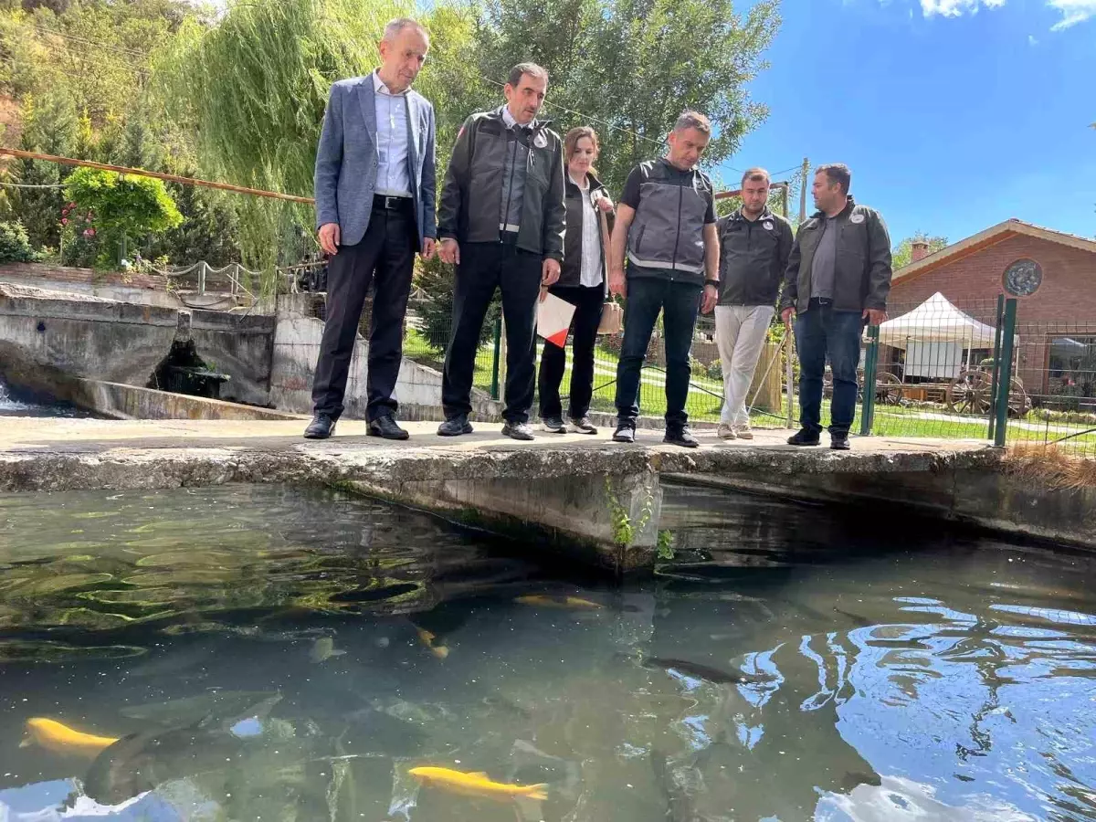 bilecikte alabalik tesisleri incelendi K75L8JnU