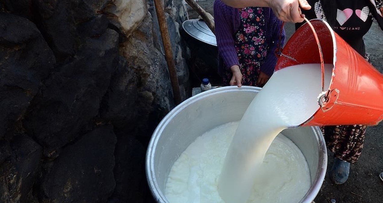 inek sutu miktari temmuzda artti 2pFrarIJ