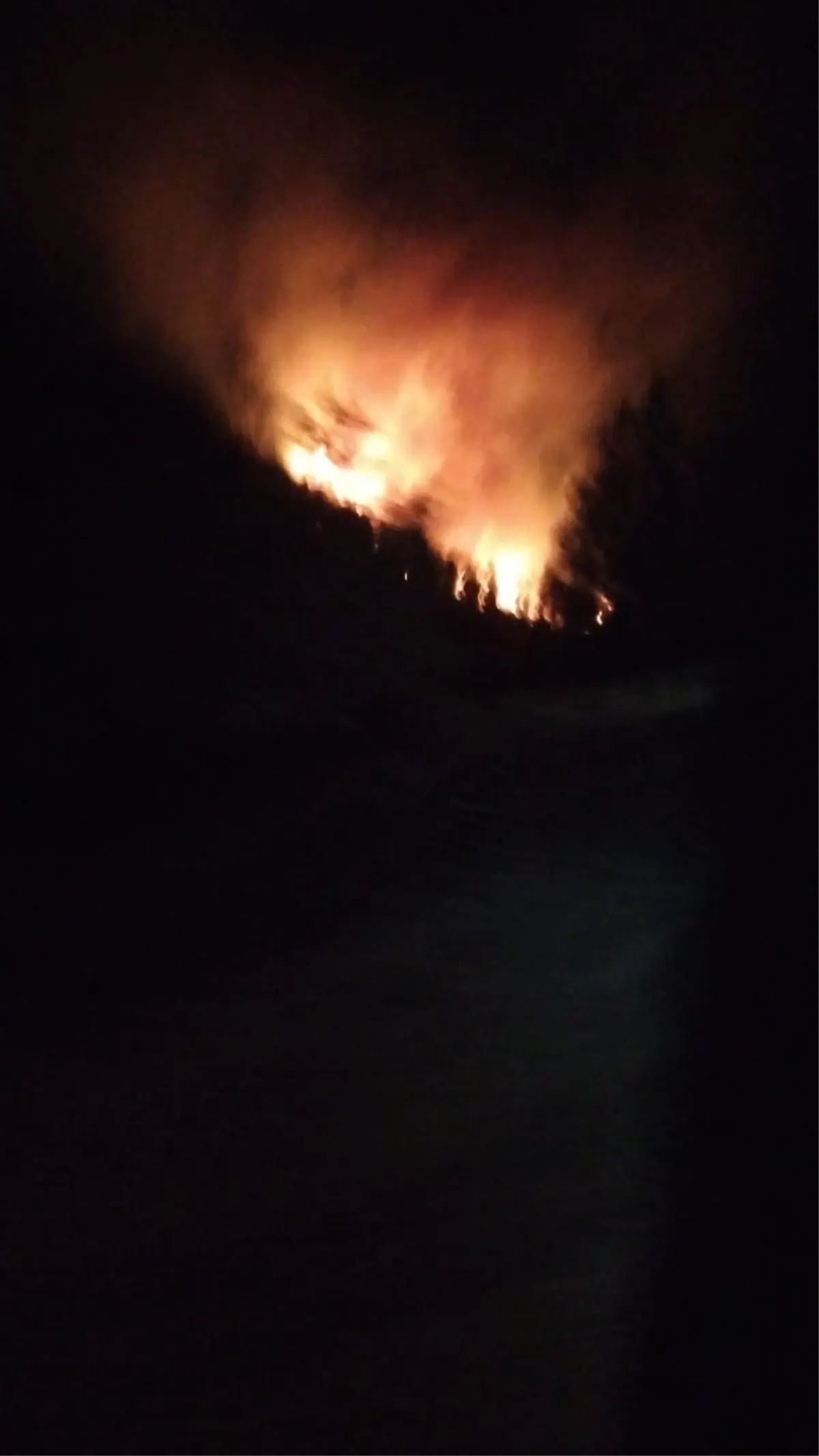 koycegizde orman yangini HVVDhSrG