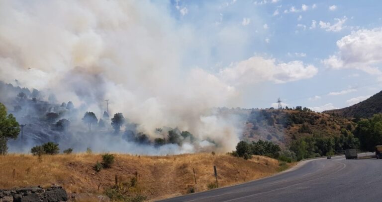 sivasin zara ilcesinde orman yangini MNbUiErj