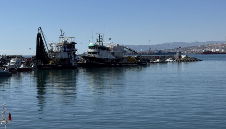 tekirdagda poyraz sona erdi w2aXQavu