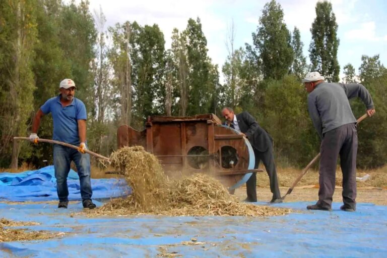 geleneksel yontemlerle ata tohumu fasulye uretimi 5f7IPhv2