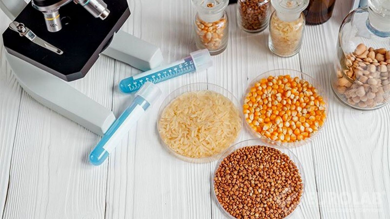 tmr ve kaba yemlerde yem analizi makinesi avantajlari wYeex3CQ