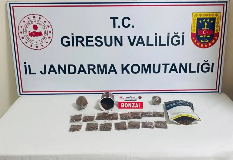 giresunda uyusturucu operasyonu 1 tutuklama X2cR6c3g.jpg