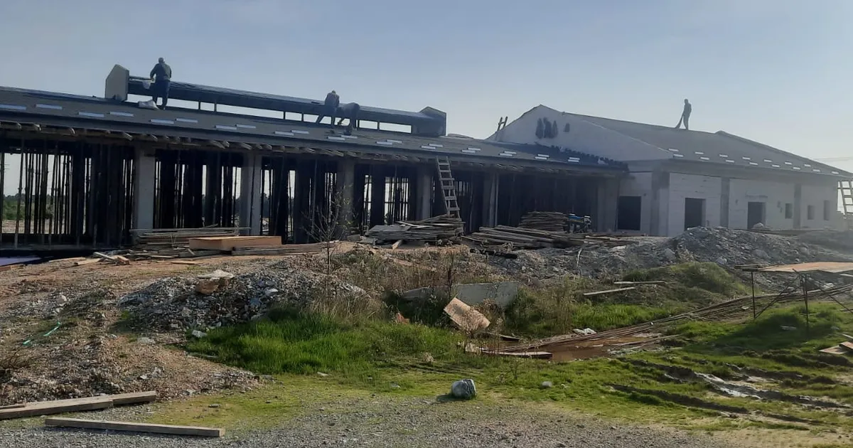 izmitten sokak hayvanlarina modern yasam alani fmd6DpiE.webp