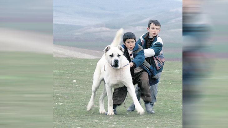 sivas ucretsiz erisime acildi mGP2s58A.jpg