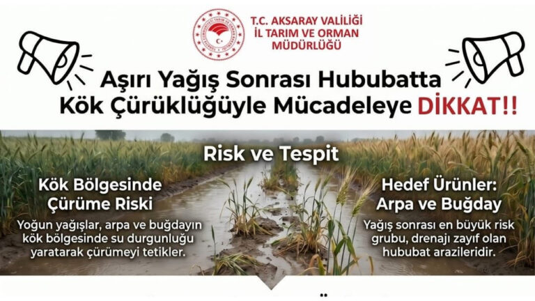 aksaray-il-tarim-mudurlugu-uyardi-asiri-yagis-hububat-alanlarini-tehdit-ediyor-wflmrfHu