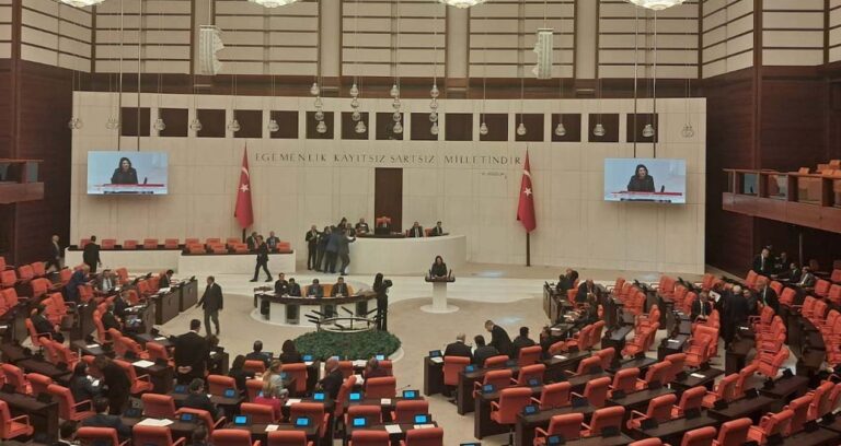 gulistan-doku-sorusturmasina-iliskin-arastirma-onergesi-akp-ve-mhp-oylariyla-reddedildi-dOGghCeg