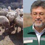 ornek-ureticiye-bakanliktan-mera-yaniti-ltnKfn86