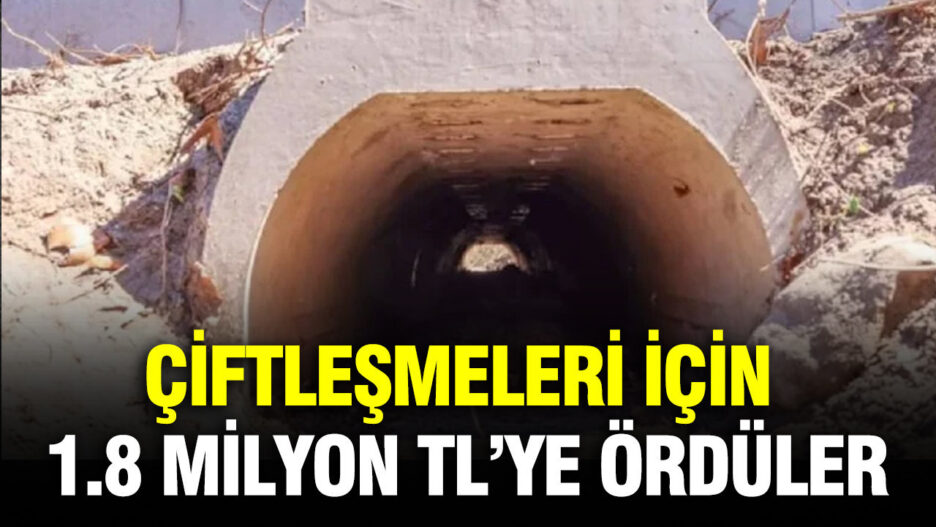 Kurbağa Göçü İçin 1.8 Milyon TL’lik Özel Alt Geçit Yapıldı