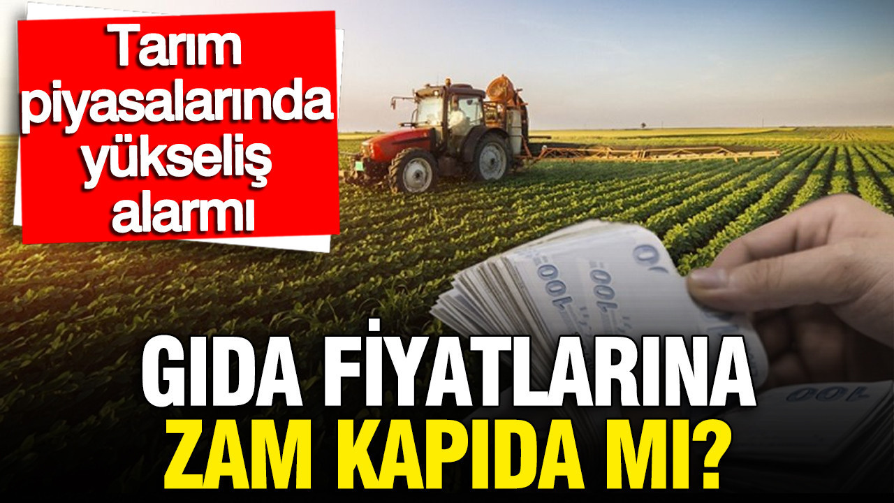 Gıda Fiyatlarında Artış Beklentisi: Buğday, Pirinç ve Gübrede Yükseliş Sinyalleri