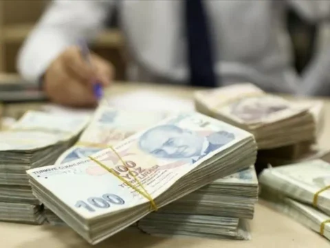 Kamuda kalkınma amaçlı yardımlar, özellikle cinsiyet eşitliğine ayrılan kaynak geriliyor